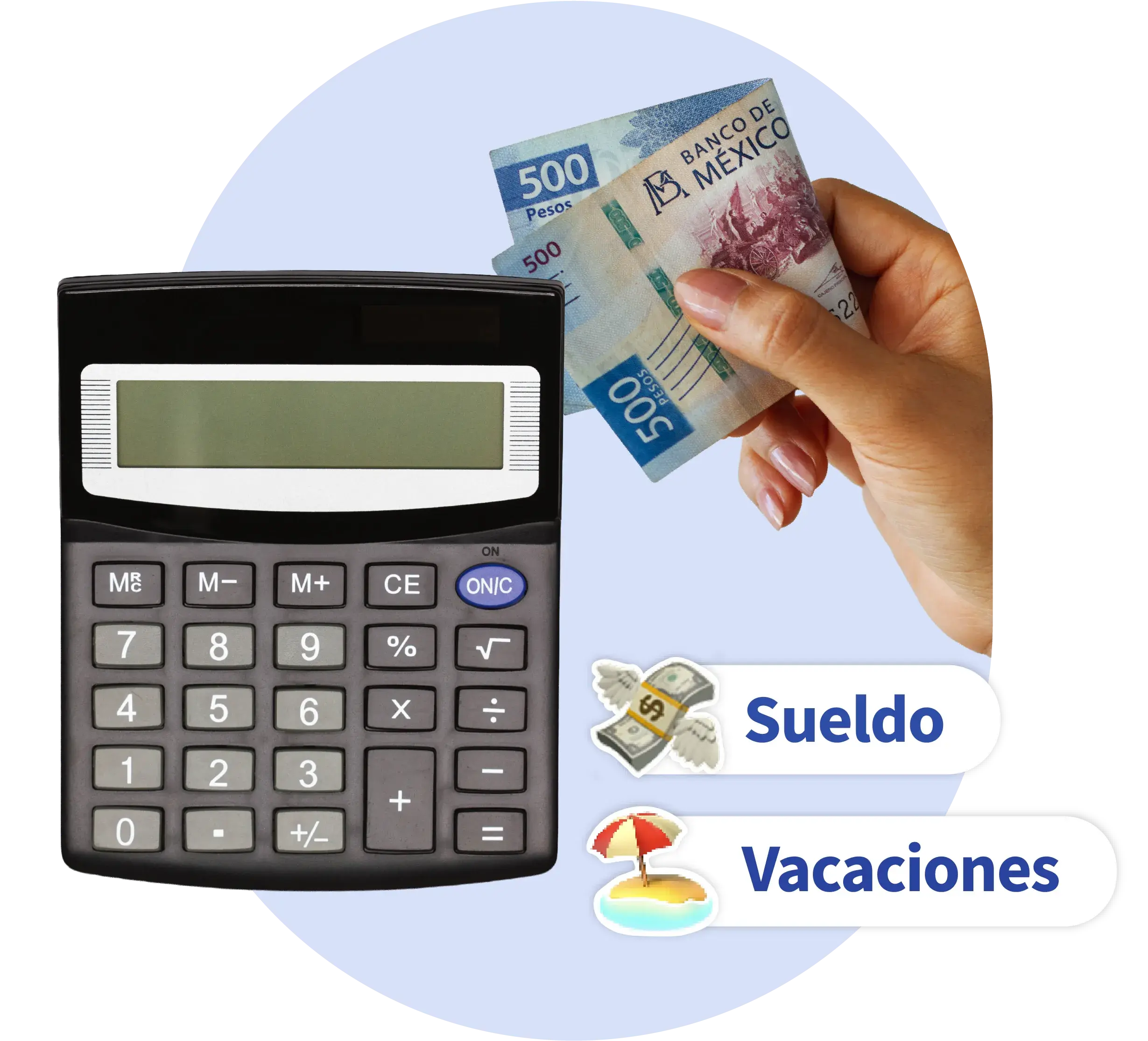 Hero-Salario-base-de-Cotización