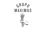 Logo Grupo maximus